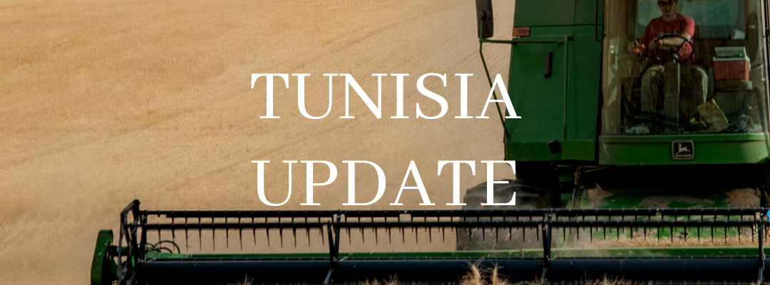 Tunisia: Timely Winter Rains Likely to Boost Grain Harvests