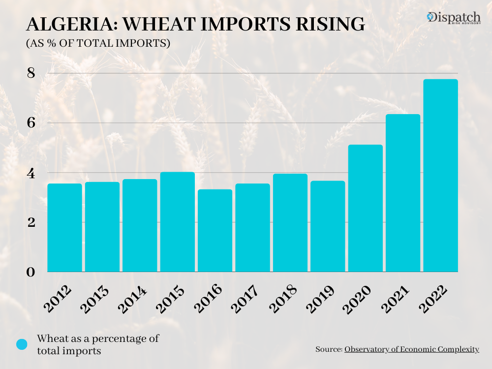 Algeria Wheat