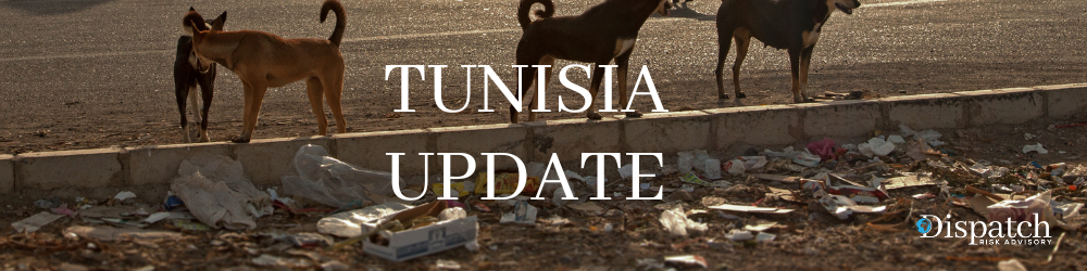 Tunisia: Fifth Death of 2024 from Stray Dog Attacks